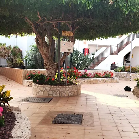 Tms Luxury Americas Ac&heated Pool Lägenhet