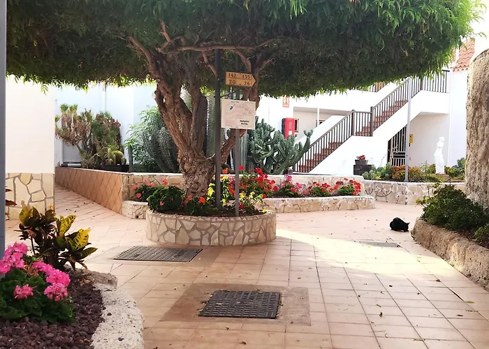 Tms Luxury Americas Ac&heated Pool 公寓